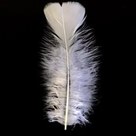 Flat Top Marabou Feather Pack 10 grams - White
