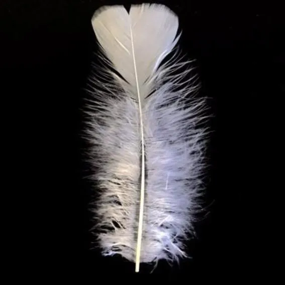 Flat Top Marabou Feather Pack 10 grams - White
